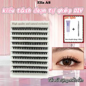 Phấn Phong Cách Hàn Quốc, 12mm, Sức Chứa Lớn, Đầy Màu Sắc, Phong Cách Anime, Kèm Keo Dán Lông Mi Và Nhíp Miễn Phí, Bộ Dụng Cụ Làm Đẹp