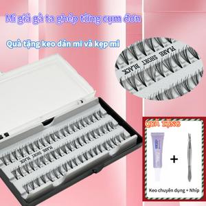 Bộ ứng dụng lông mi, để sử dụng tại nhà, Thân thiện với người mới bắt đầu, Phiên bản nâng cấp, cho các phần mở rộng lông mi