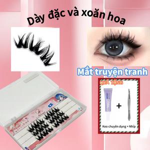 Lông Mi Giả, Thiết Kế Siêu Đẹp, Kiểu Manga Mắt Cá Nhân Cụm, Dày & Rộng, Lớn Và Cong