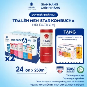 Combo 2 Thùng 12 lon trà lên men Star Kombucha mix vị (250ml/lon) - có chứa probiotics từ trà lên men tự nhiên
