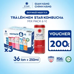 Combo 3 thùng 12 lon trà lên men STAR KOMBUCHA hữu cơ mix vị (250ml/lon) - có chứa probiotics từ trà lên men tự nhiên