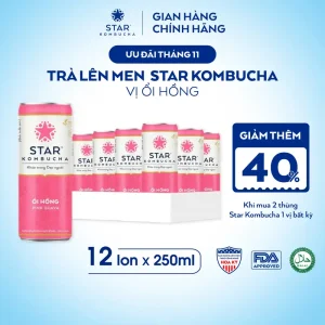 Thùng 12 lon STAR KOMBUCHA Xoài Kiwi / Mellow Mango (250ml/lon) -Trà lên men vi sinh hỗ trợ tiêu hóa